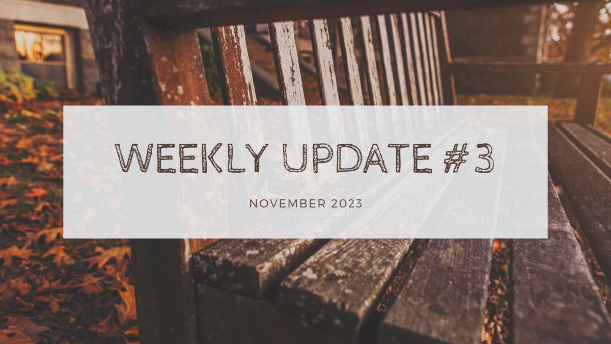 Weekly Update #3 | November 2023