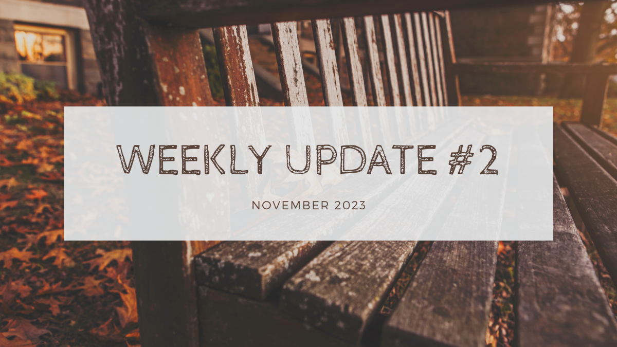 Weekly Update 2 | November 2023